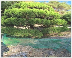  2024Ÿ��735 ��� ��õ�� �̿��� ������ 232      ���ð��