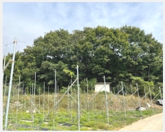  2024Ÿ773   ǳɸ  287      (Ӿ)