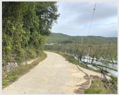  2024Ÿ773   ǳɸ  287      (Ӿ)