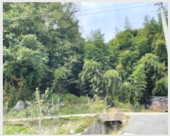  2024Ÿ773   ǳɸ  287      (Ӿ)