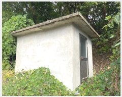  2024Ÿ773   ǳɸ  287      (Ӿ)