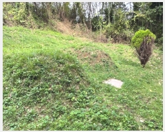  2024Ÿ773   ǳɸ  287      (Ӿ)