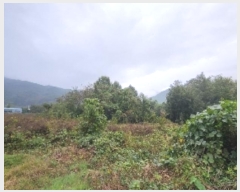  2024Ÿ773   ǳɸ  287      (Ӿ)