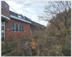  2024Ÿ872   õ  493-1      ,繫ǰ