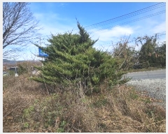  2024Ÿ872   õ  493-1      ,繫ǰ