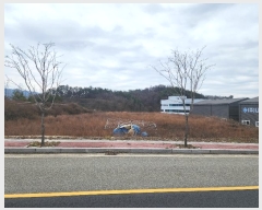  2024Ÿ��1059  ����������