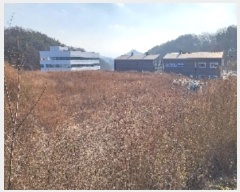  2024Ÿ��1059  ����������