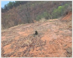  2024Ÿ��10459 ��� ������ Ȳ���� �ݰ踮 596      ����(��1)���