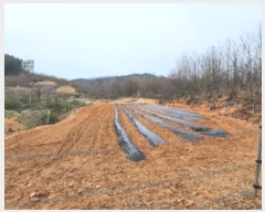  2024Ÿ��10459 ��� ������ Ȳ���� �ݰ踮 596      ����(��1)���