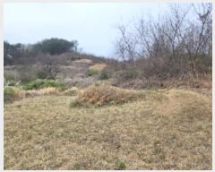  2024Ÿ��10459 ��� ������ Ȳ���� �ݰ踮 596      ����(��1)���