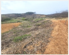  2024Ÿ��10459 ��� ������ Ȳ���� �ݰ踮 596      ����(��1)���