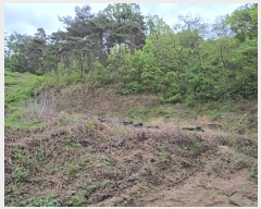  2024Ÿ10480   簭  395      (1)