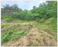  2024Ÿ10480   簭  395      (1)