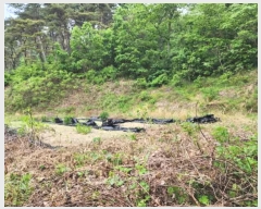  2024Ÿ10480   簭  395      (1)