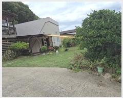  2024Ÿ11384   簭  295-1      ð