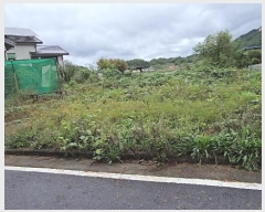  2024Ÿ��11407 ��� ��õ�� ���ϸ� ���ฮ 1166      ����(����)���