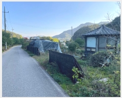  2024Ÿ11452    θ 167      ()