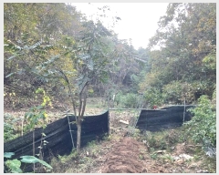  2024Ÿ11452    θ 167      ()