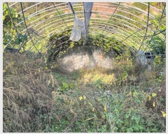  2024Ÿ11452    θ 167      ()