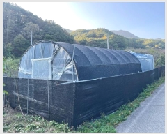  2024Ÿ11452    θ 167      ()