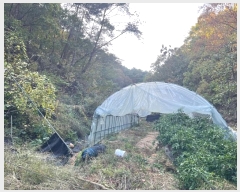  2024Ÿ11452    θ 167      ()