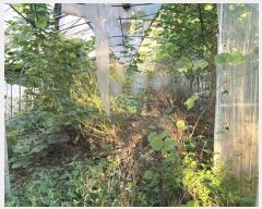  2024Ÿ11452    θ 167      ()