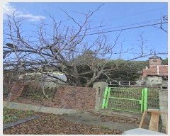  2024Ÿ��11551 ��� ������ �л�� ���긮 837-2      ���ð��