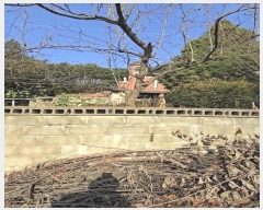  2024Ÿ��11551 ��� ������ �л�� ���긮 837-2      ���ð��