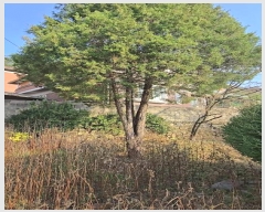  2024Ÿ��11551 ��� ������ �л�� ���긮 837-2      ���ð��