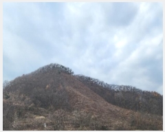  2024Ÿ11605  õ û  136      (Ӿ)