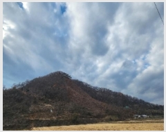  2024Ÿ11605  õ û  136      (Ӿ)