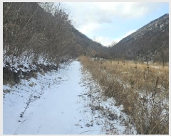  2024Ÿ��11636 ��� ��õ�� ������ �ݻ긮 1      ����(��)���