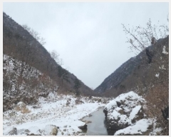  2024Ÿ��11636 ��� ��õ�� ������ �ݻ긮 1      ����(��)���