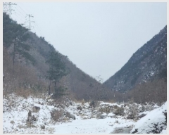  2024Ÿ��11636 ��� ��õ�� ������ �ݻ긮 1      ����(��)���