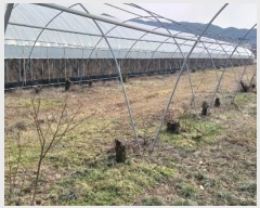  2024Ÿ��11667 ��� ������ �Ű�� ��õ�� 412-5      ����(��)���