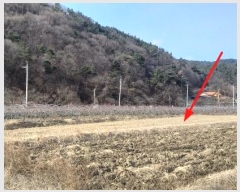  2024Ÿ��11667 ��� ������ �Ű�� ��õ�� 412-5      ����(��)���