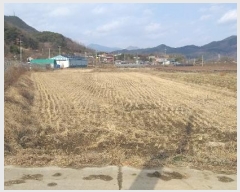  2024Ÿ��11667 ��� ������ �Ű�� ��õ�� 412-5      ����(��)���