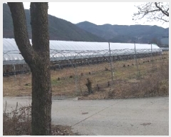  2024Ÿ��11667 ��� ������ �Ű�� ��õ�� 412-5      ����(��)���