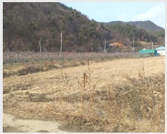  2024Ÿ��11667 ��� ������ �Ű�� ��õ�� 412-5      ����(��)���