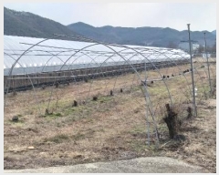  2024Ÿ��11667 ��� ������ �Ű�� ��õ�� 412-5      ����(��)���