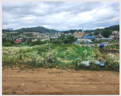  2024Ÿ��6786 ����Ư����ġ�� ����� ���⸮ 13-8       ����(��1)���