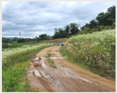  2024Ÿ��6786 ����Ư����ġ�� ����� ���⸮ 13-8       ����(��1)���