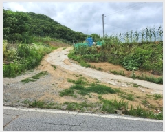  2024Ÿ��6786 ����Ư����ġ�� ����� ���⸮ 13-8       ����(��1)���