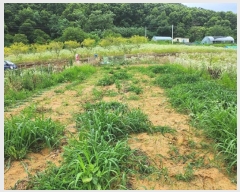  2024Ÿ��6786 ����Ư����ġ�� ����� ���⸮ 13-8       ����(��1)���