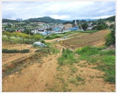  2024Ÿ��6786 ����Ư����ġ�� ����� ���⸮ 13-8       ����(��1)���