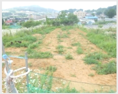  2024Ÿ��6786 ����Ư����ġ�� ����� ���⸮ 13-8       ����(��1)���