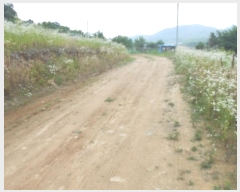  2024Ÿ��6786 ����Ư����ġ�� ����� ���⸮ 13-8       ����(��1)���