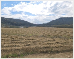  2024Ÿ10303 Ưġ  ۼ 494       ()