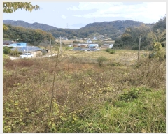  2024Ÿ10303 Ưġ  ۼ 494       ()