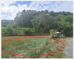  2024Ÿ10303 Ưġ  ۼ 494       ()